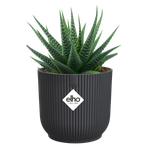 vibes fold rond mini 7cm antraciet